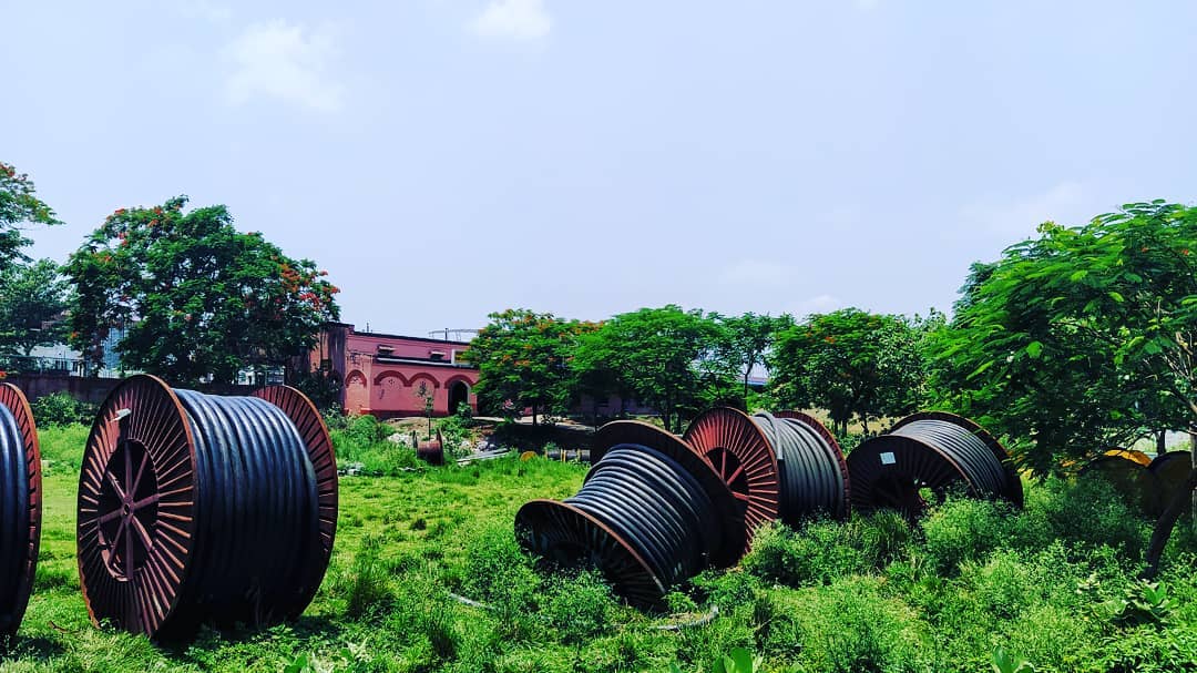 Service Regularization