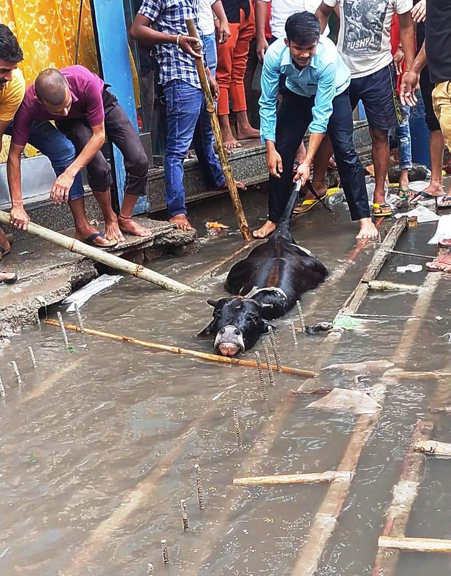 Service Regularization