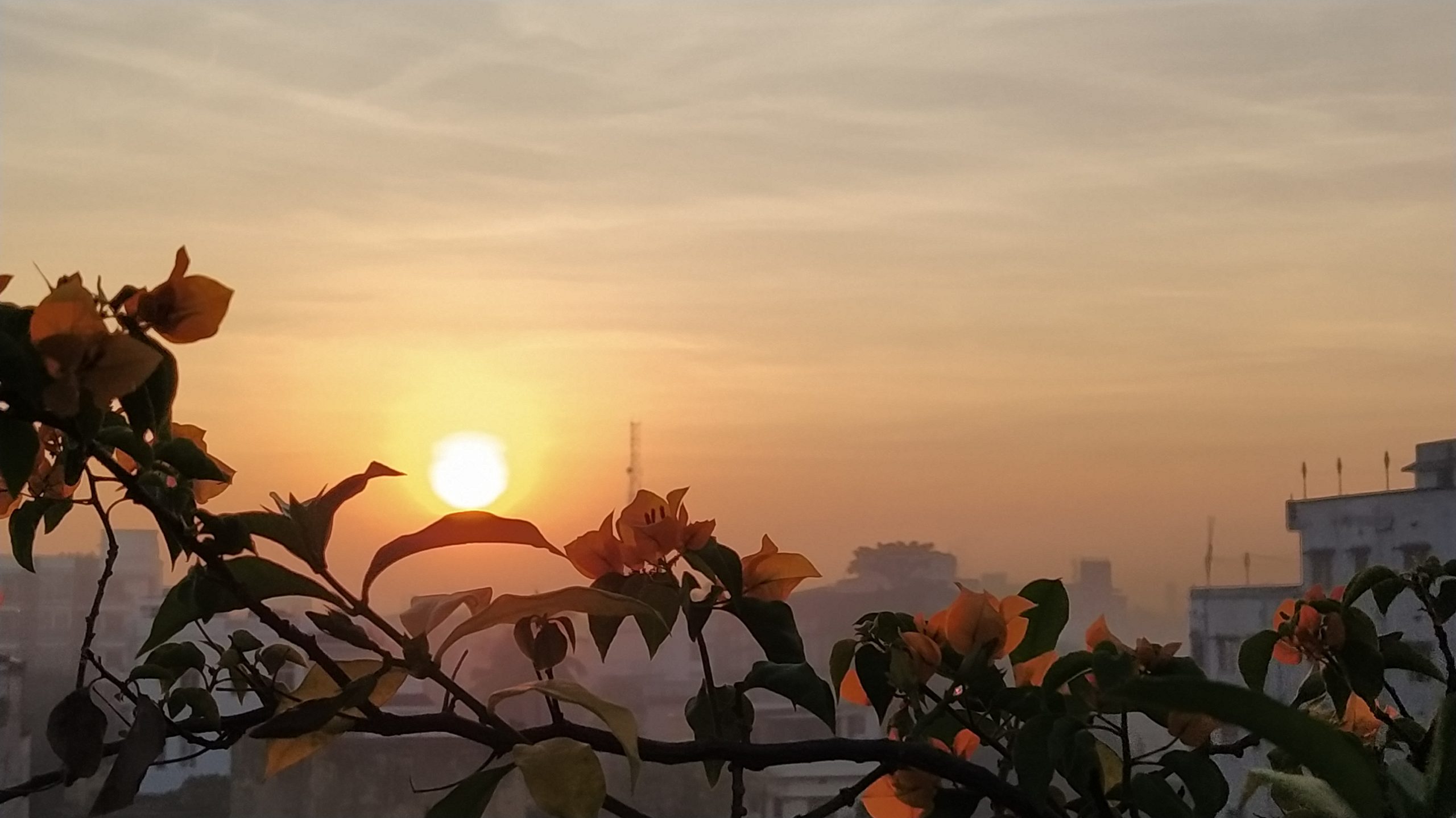 Service Regularization