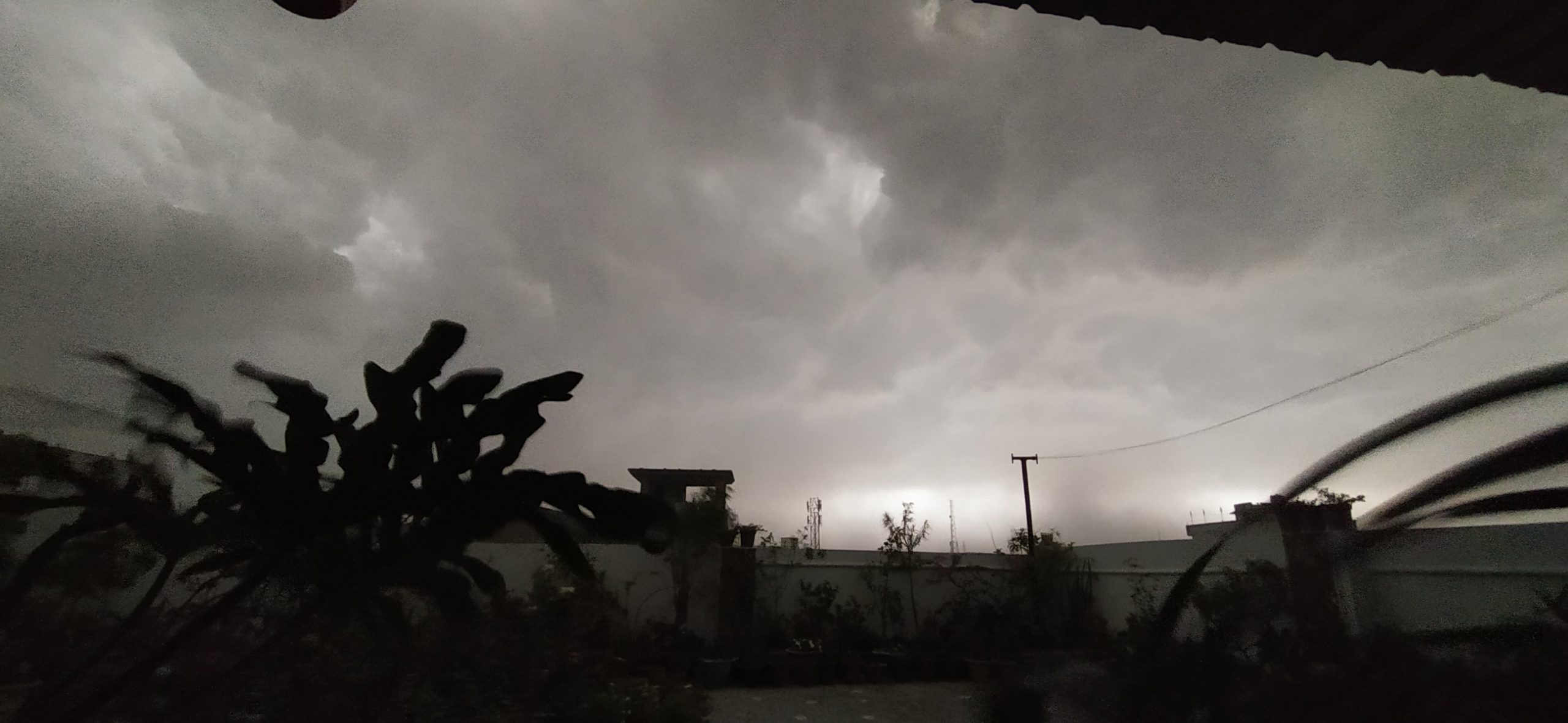 Service Regularization