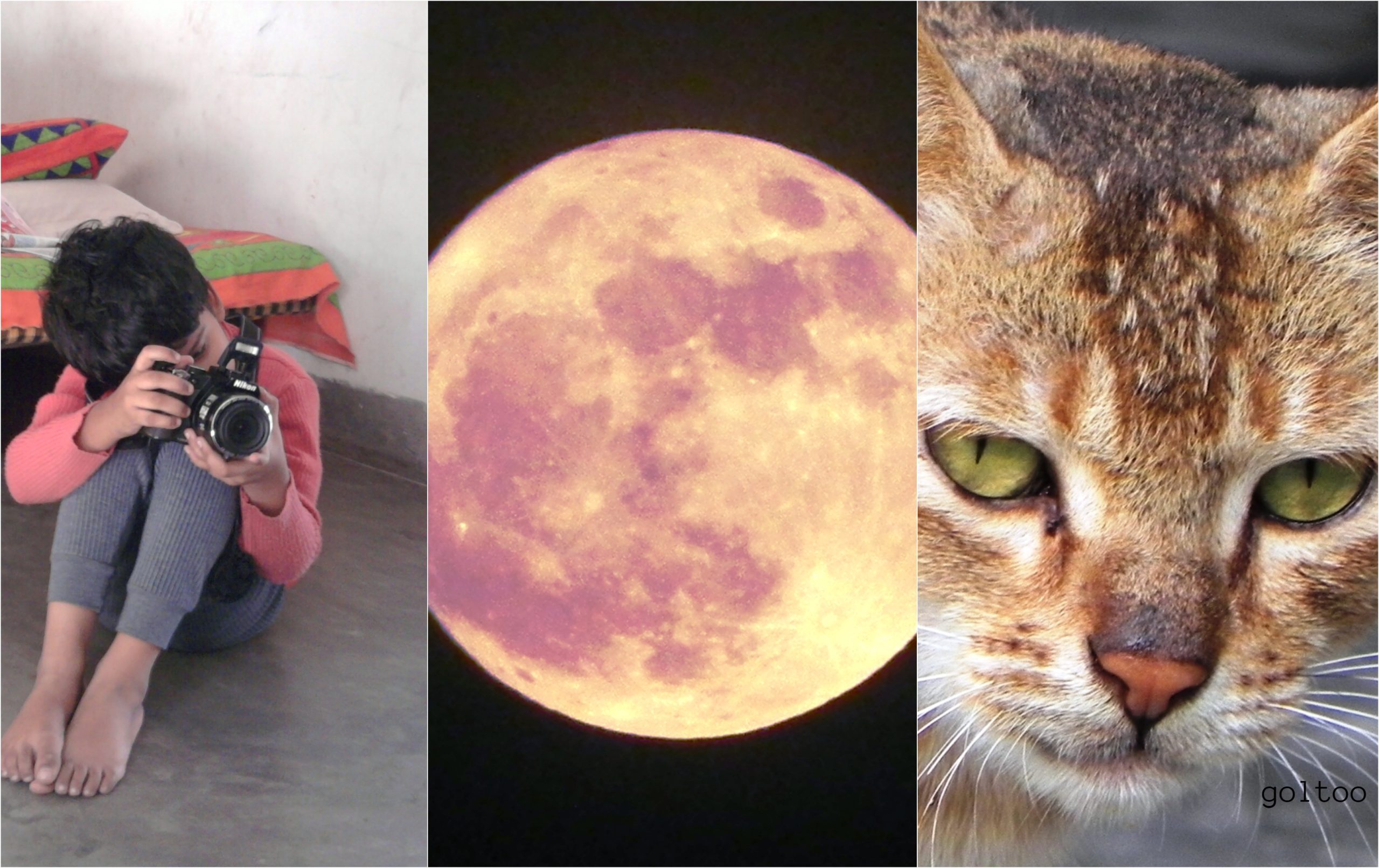 Muzaffarpur Sports News