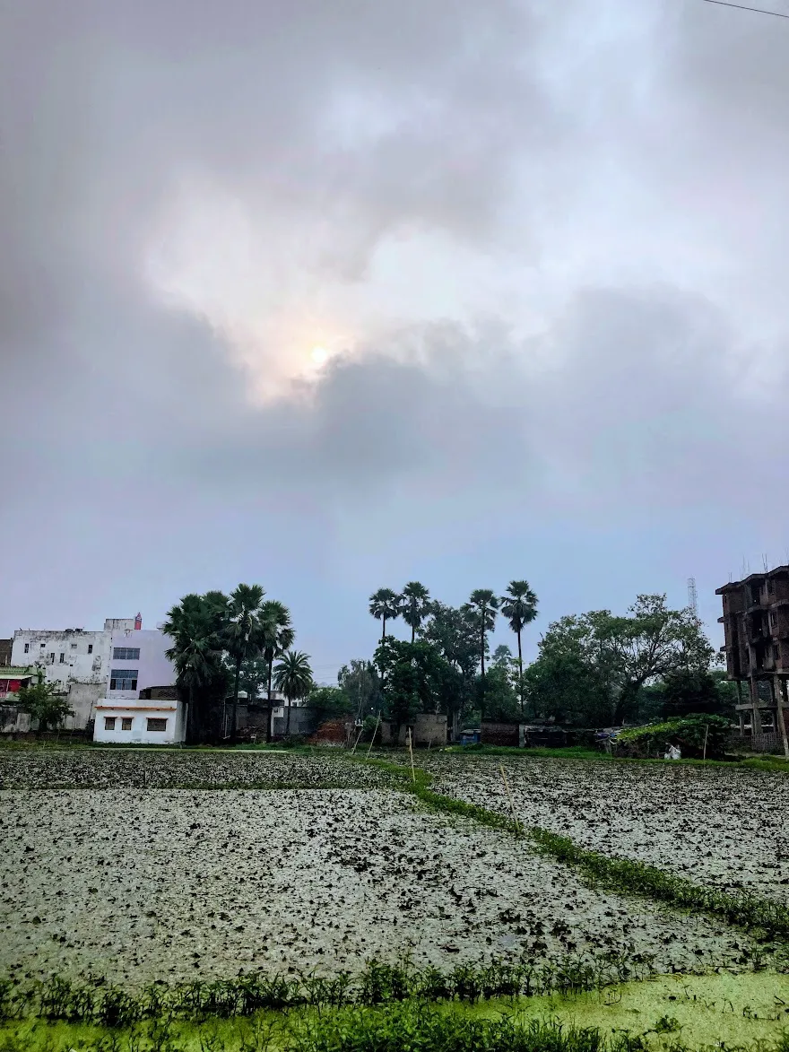 Service Regularization