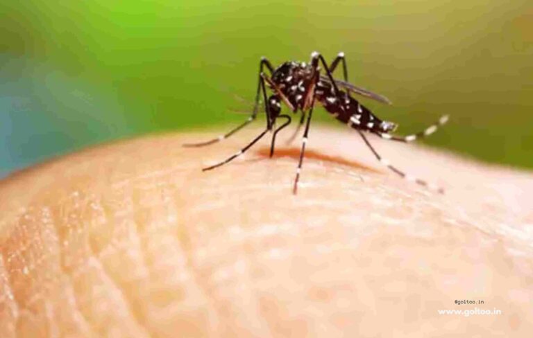 मुजफ्फरपुर में डेंगू से सावधान, डेंगू के लक्षण क्या हैं ?