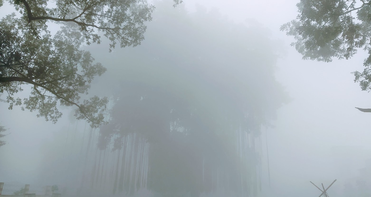 South Asian Savate Championship