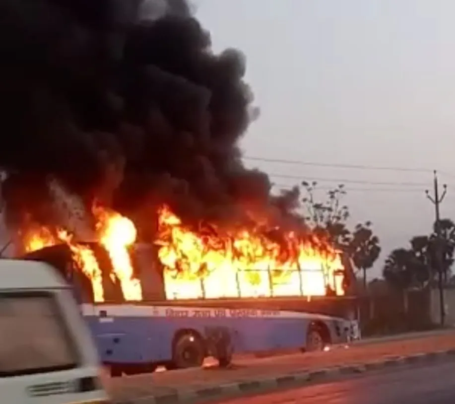 Service Regularization