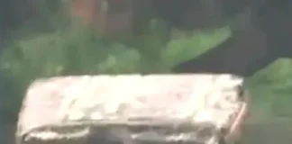 A Rikshaw Puller in Delhi Flood