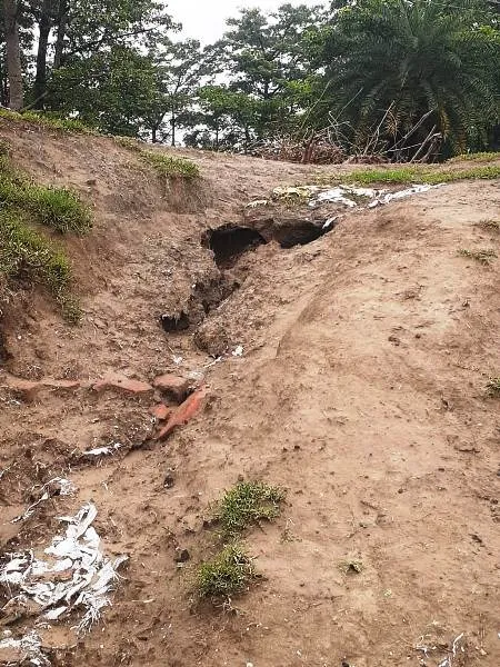 Service Regularization