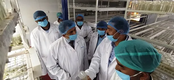 title Hecure Agro Plants Hecure Agro Plants