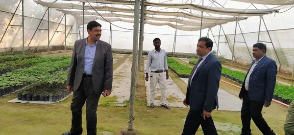 title Hecure Agro Plants Hecure Agro Plants