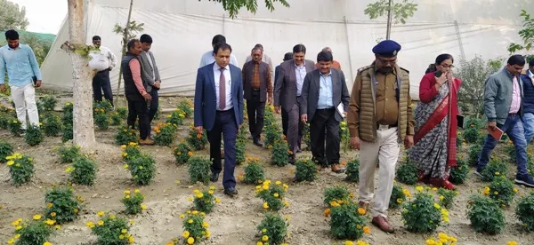 title Hecure Agro Plants Hecure Agro Plants