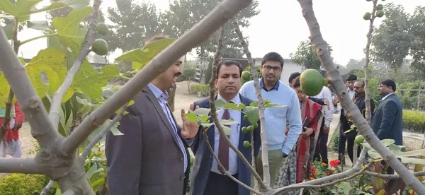 title Hecure Agro Plants Hecure Agro Plants अंजीर और नींबू की खेती