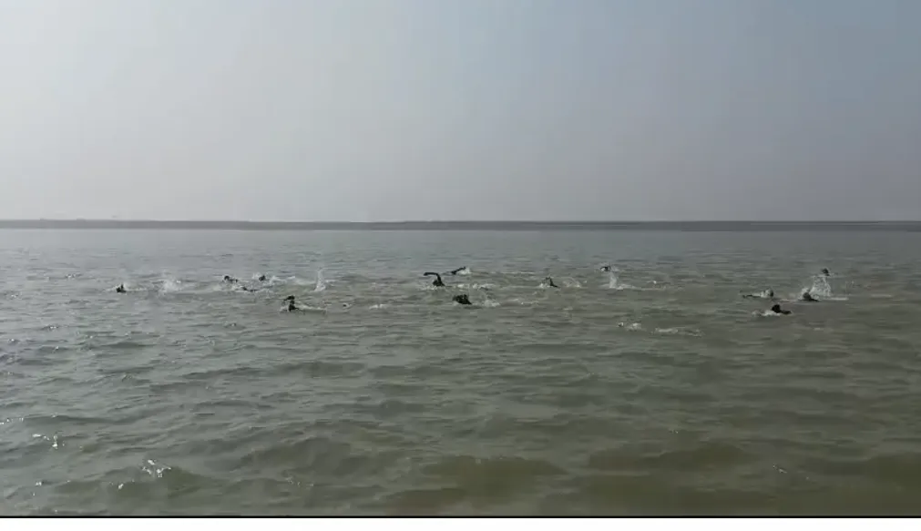 Mini Marathon Swimming