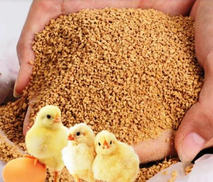 title Poultry Feed Research Poultry Feed Research under supervision of BABU VC Dr D.C. Rai