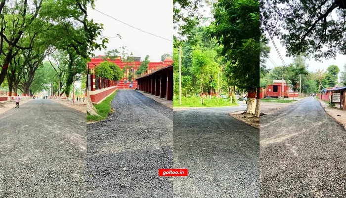 Service Regularization