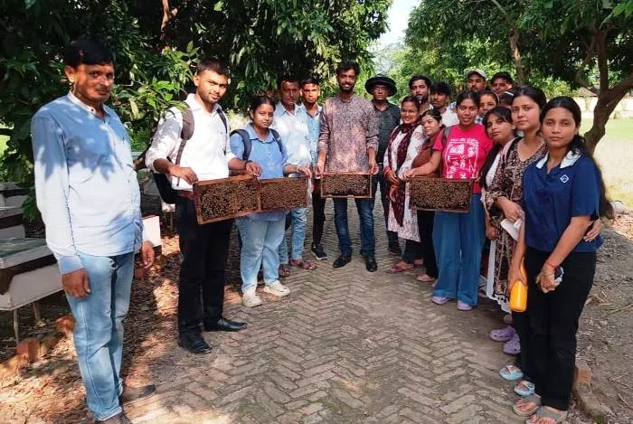 title RDS College RDS College के छात्रों ने राष्ट्रीय लीची अनुसंधान केंद्र में मधुमक्खी पालन पर किया शोध व प्रशिक्षण