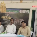 World Sparrow Day गौरैया संरक्षण